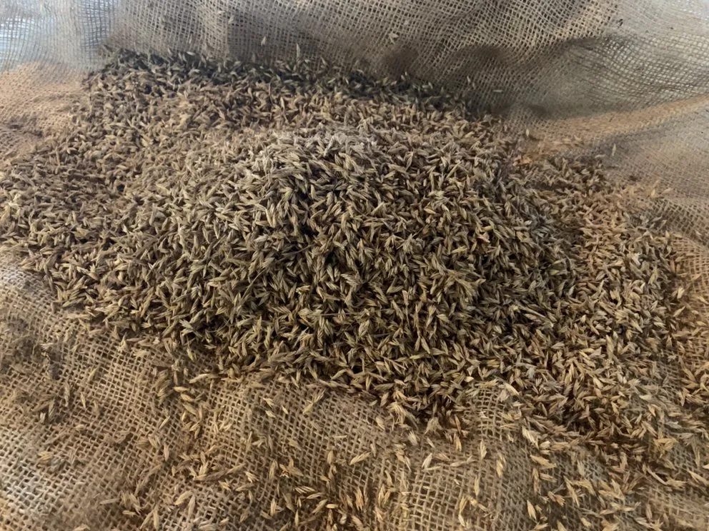 Local lawn care service for homes in Yutan, NE by Country Inspired Landscapes