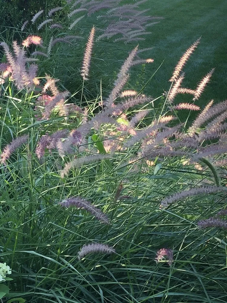 Professional residential landscaping for year-round maintenance across Winchester, MA - Country Landscape & Design, Inc