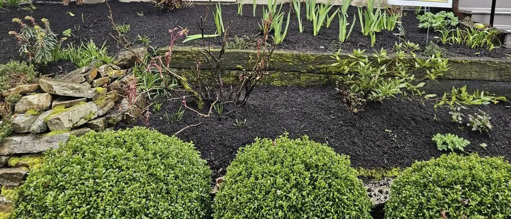 Professional yard maintenance for year-round maintenance in Portland, OR by Country Landscapes & Construction