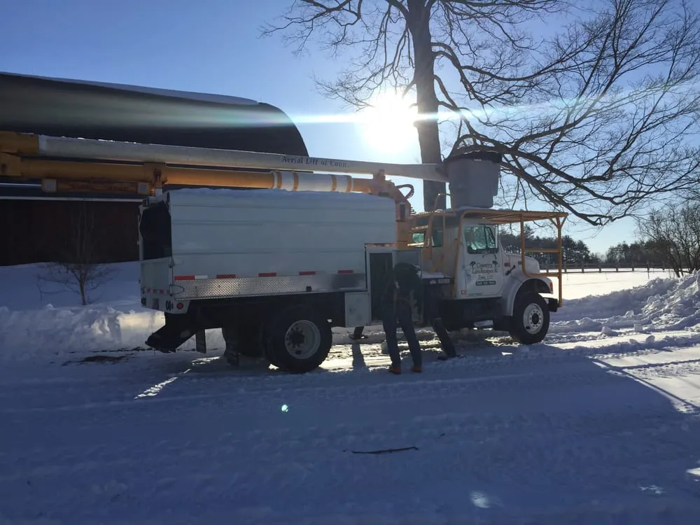 Expert lawn care service near you in Ashford, CT by Country Landscapes & Tree, LLC