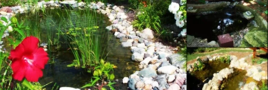 Professional residential landscaping near you across Ames, IA - Country Landscapes