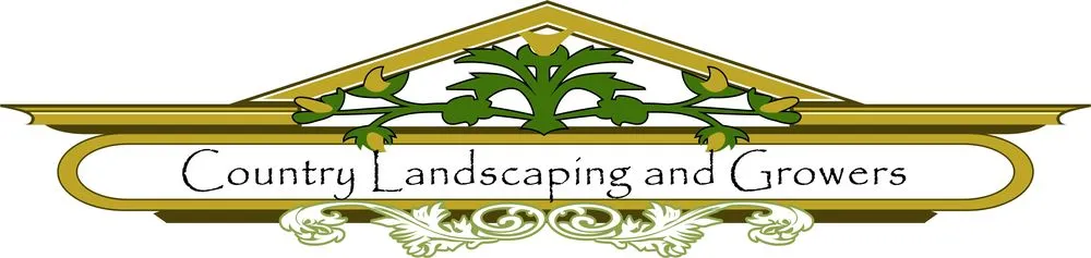 Custom lawn mowing service in Boca Raton, FL by Country Landscaping & Growers