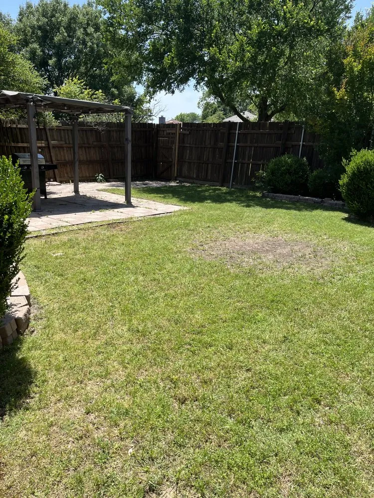 Expert landscaping services in Frisco, TX - Country Landscaping & Lawns