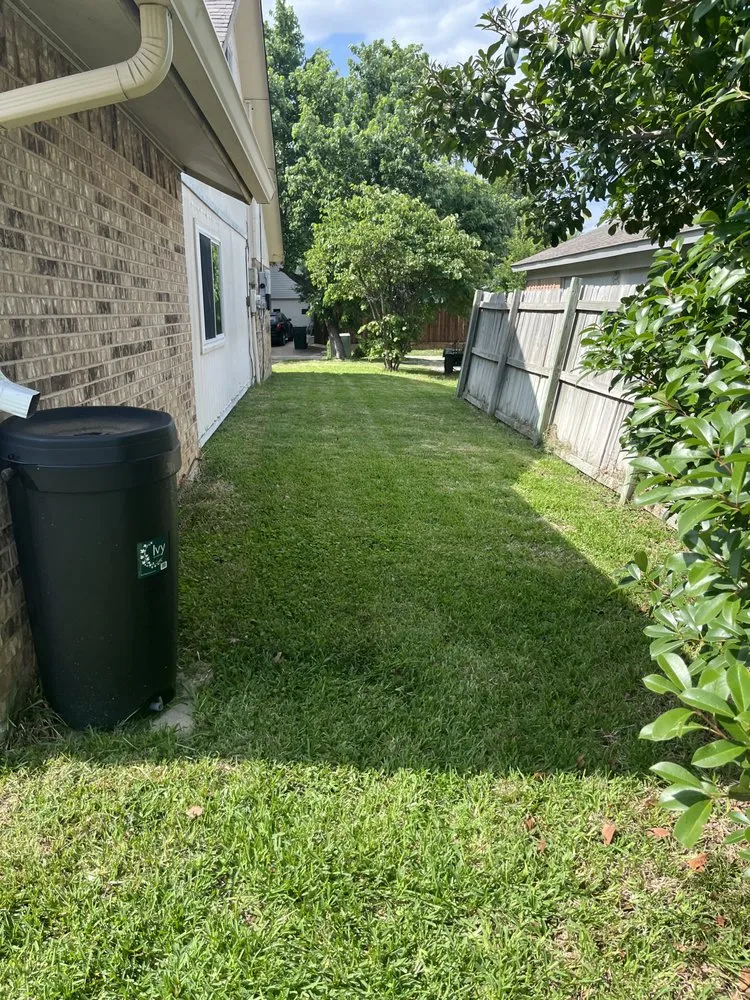 Local yard maintenance near you in Frisco, TX by Country Landscaping & Lawns