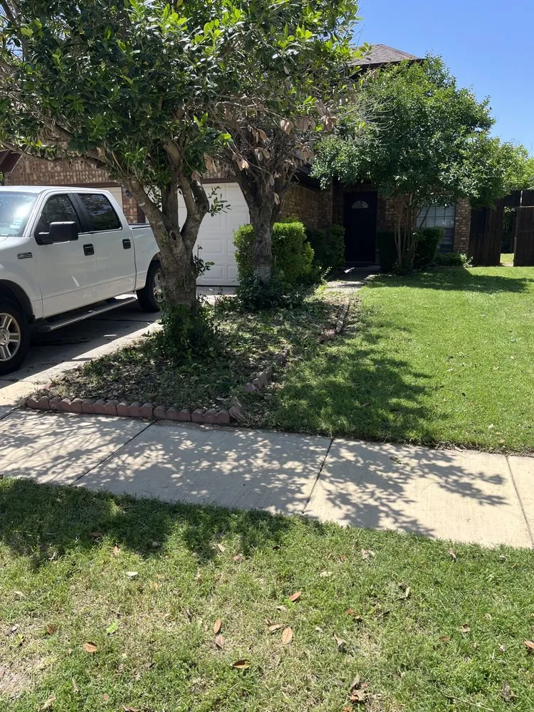 Top-rated lawn care service in Frisco, TX by Country Landscaping & Lawns