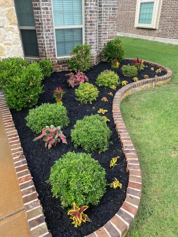 Local landscape installation in Frisco, TX by Country Landscaping & Lawns