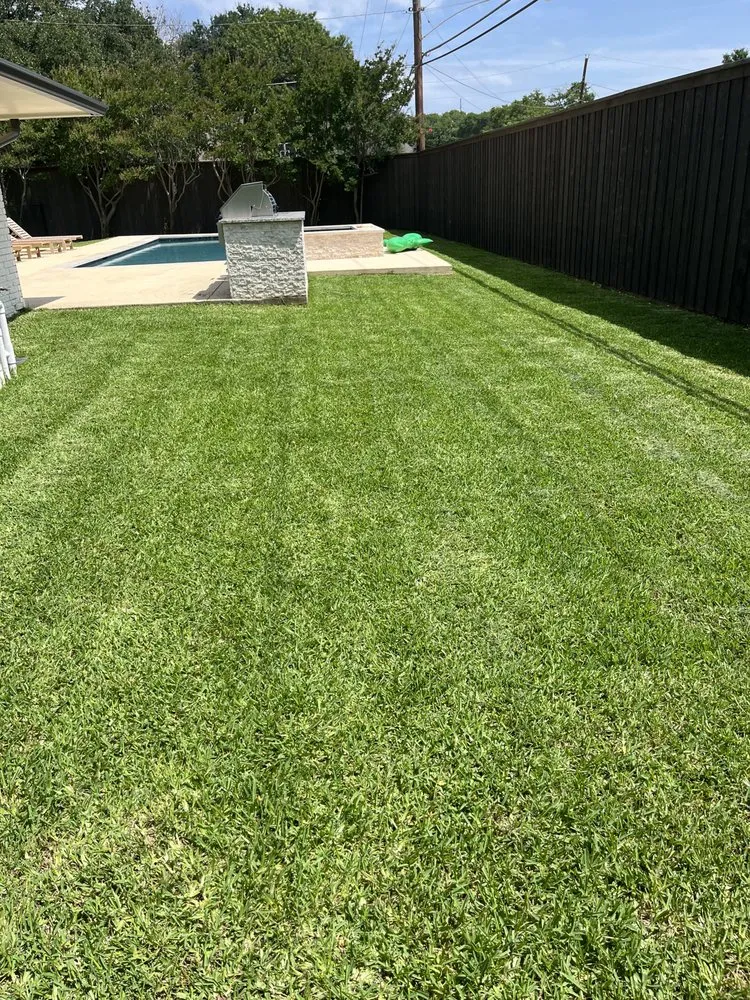 Local lawn care service in Frisco, TX - Country Landscaping & Lawns