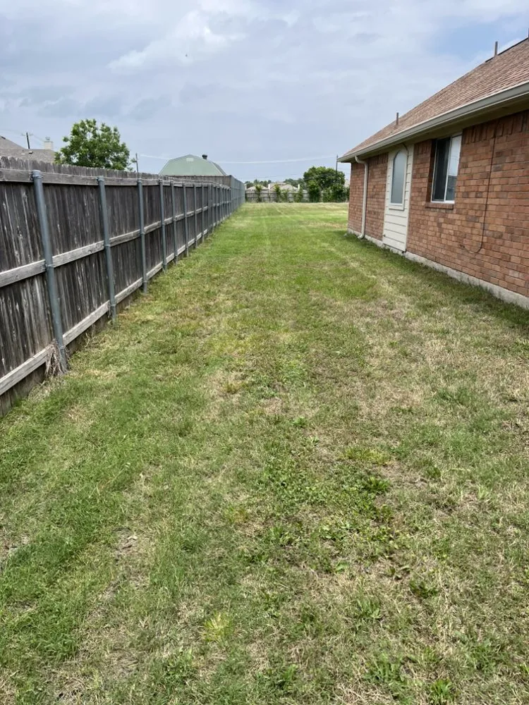 Trusted lawn mowing service experts serving Frisco, TX - Country Landscaping & Lawns