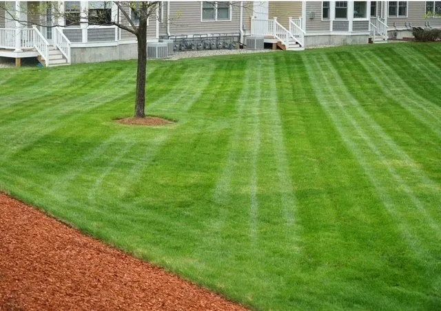 Trusted garden landscaping experts serving Frisco, TX - Country Landscaping & Lawns
