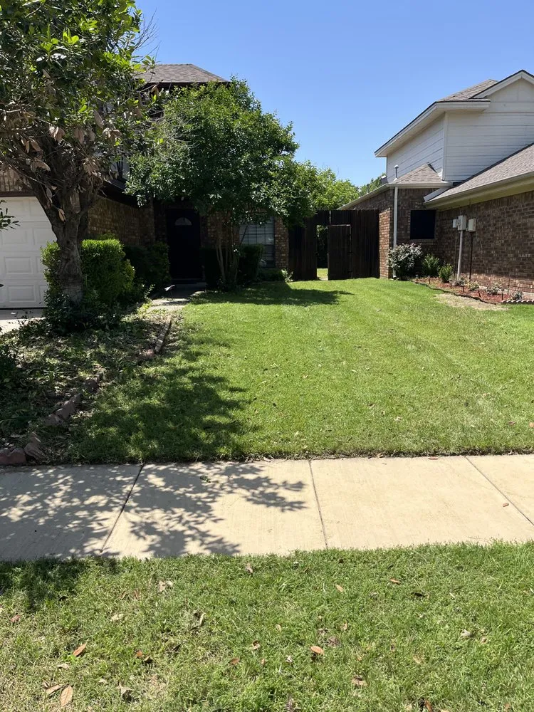 Trusted yard cleanup service for residential properties across Frisco, TX - Country Landscaping & Lawns