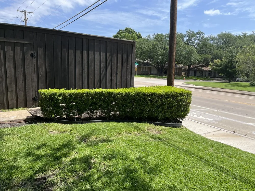 Top-rated landscaping services for homes across Frisco, TX - Country Landscaping & Lawns