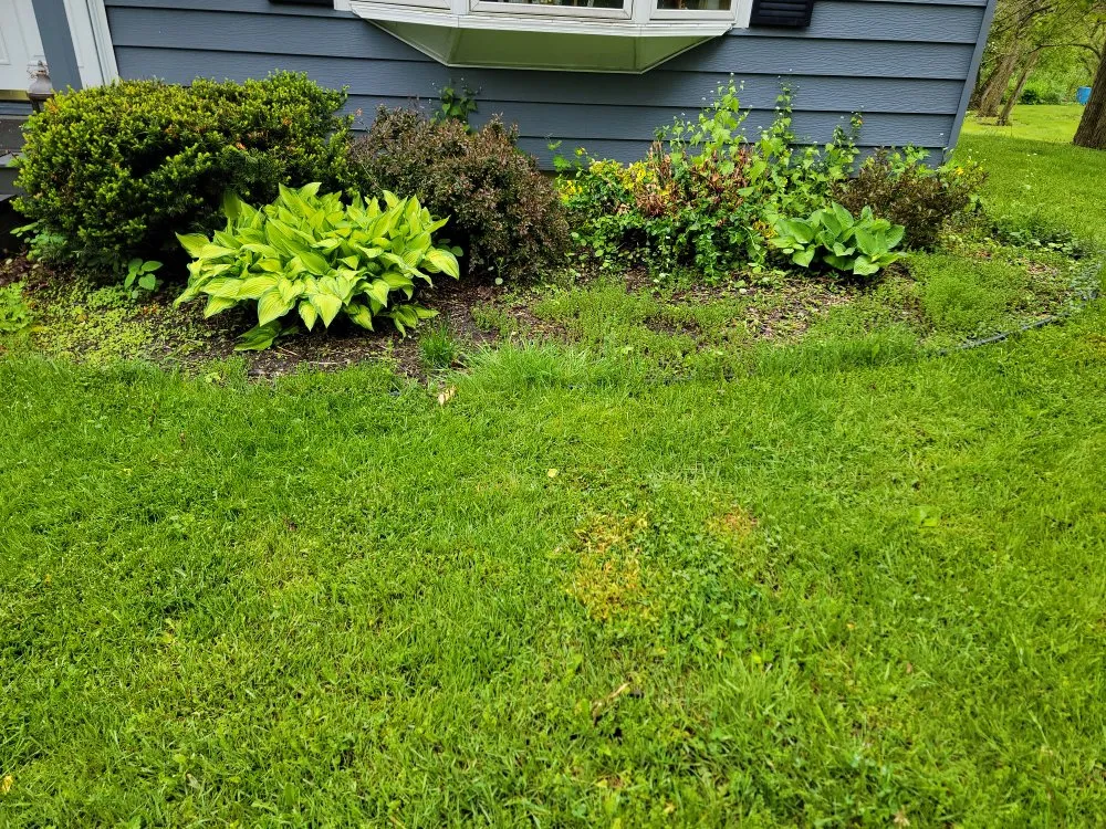 Custom yard maintenance for beautiful yards across Petersburgh, NY - Country Landscaping