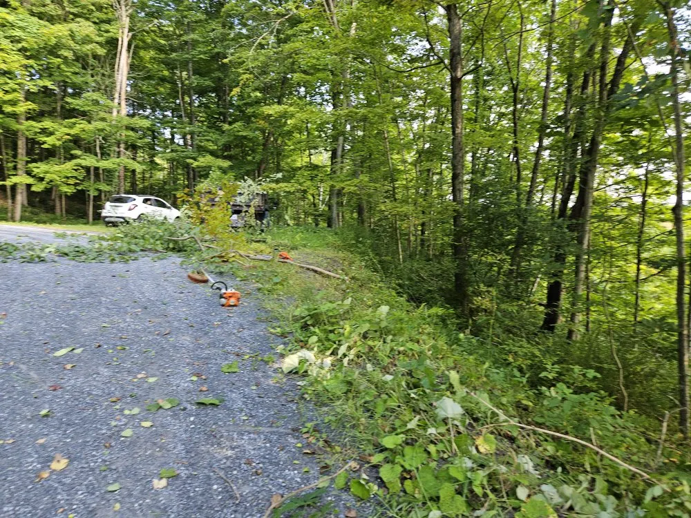 Affordable lawn care service in Petersburgh, NY - Country Landscaping