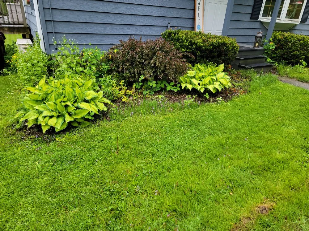 Expert landscape installation for homes across Petersburgh, NY - Country Landscaping