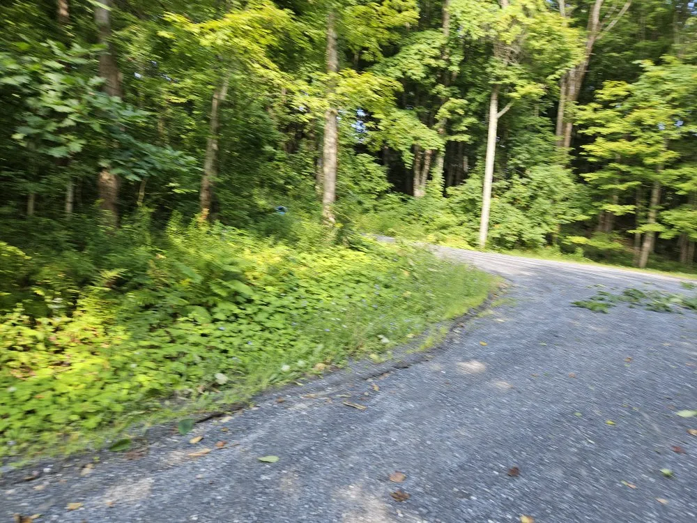 Local yard maintenance near you across Petersburgh, NY - Country Landscaping