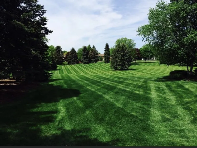 Top-rated residential landscaping experts serving Dexter, MI - Country Lane Landscaping & Maintenance