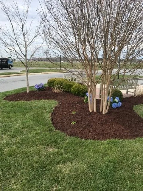 Professional garden landscaping in Georgetown, DE - Country Lawn Care