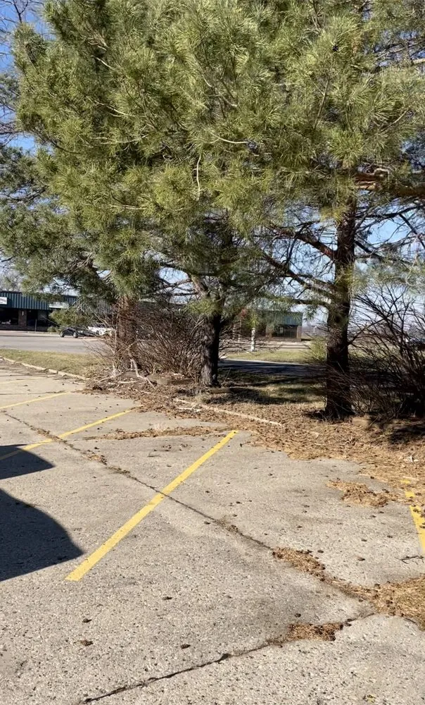 Custom yard maintenance in Peoria, IL by Country Lawn Care