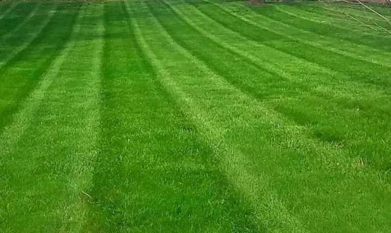 Reliable outdoor landscaping for outdoor upgrades across Peoria, IL - Country Lawn Care