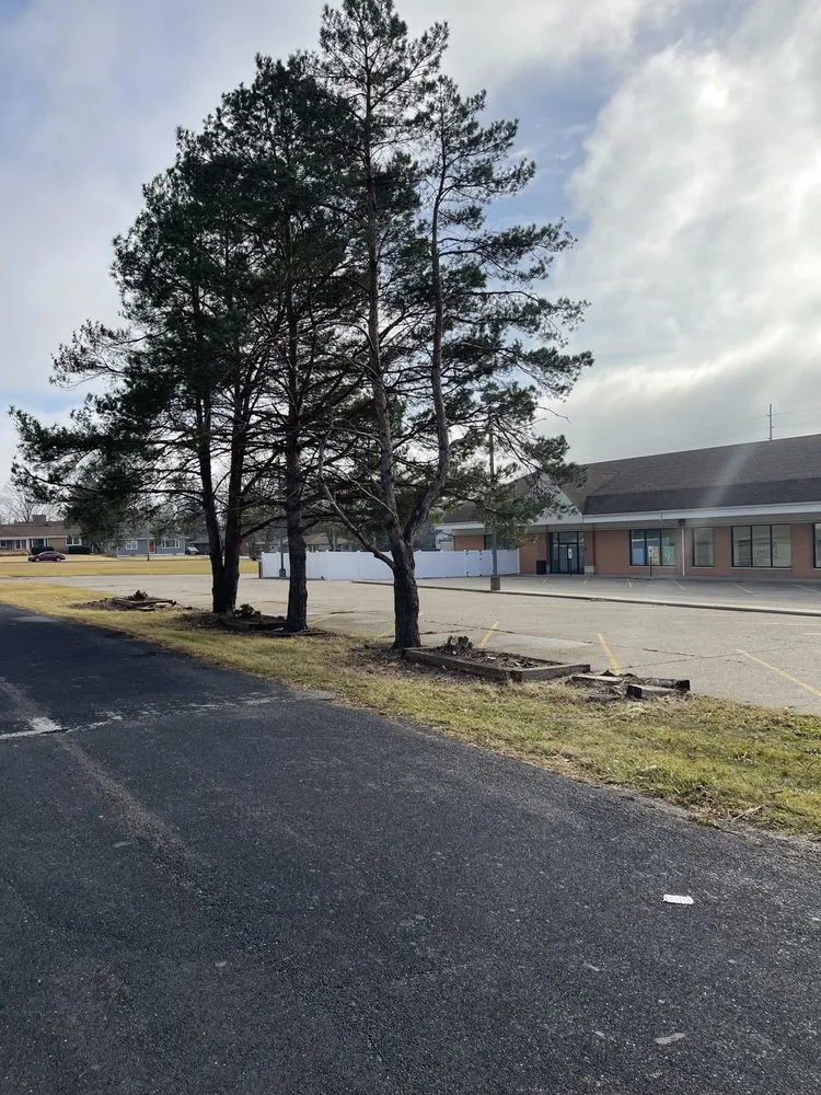 Professional yard maintenance for outdoor upgrades in Peoria, IL by Country Lawn Care