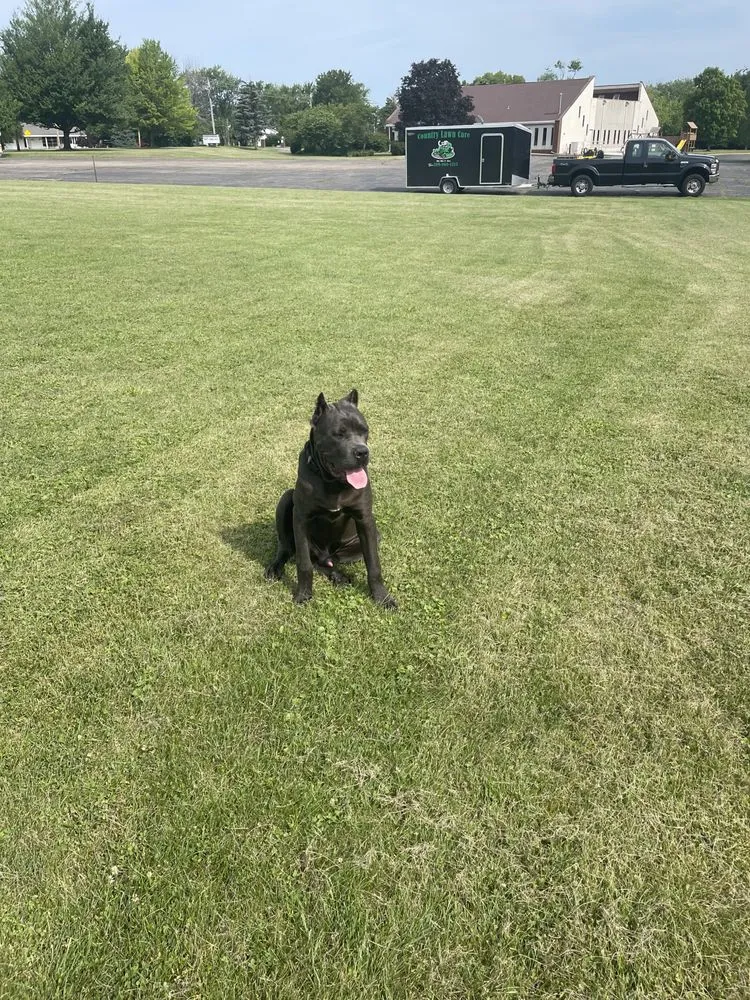 Professional landscape installation for outdoor upgrades across Peoria, IL - Country Lawn Care