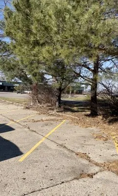 Country Lawn Care Logo