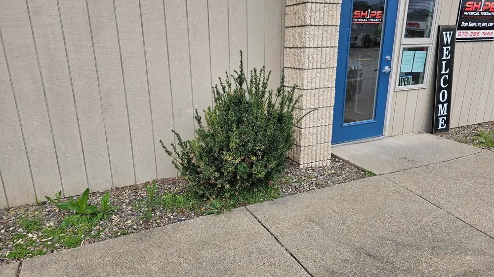 Top-rated landscape design experts serving Selinsgrove, PA - Country Lawn Care