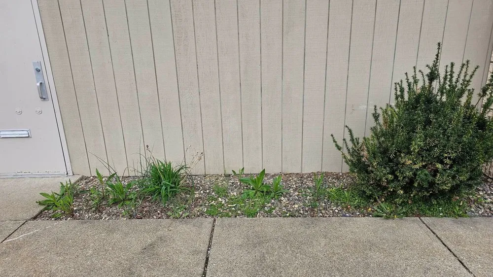 Local outdoor landscaping experts serving Selinsgrove, PA - Country Lawn Care