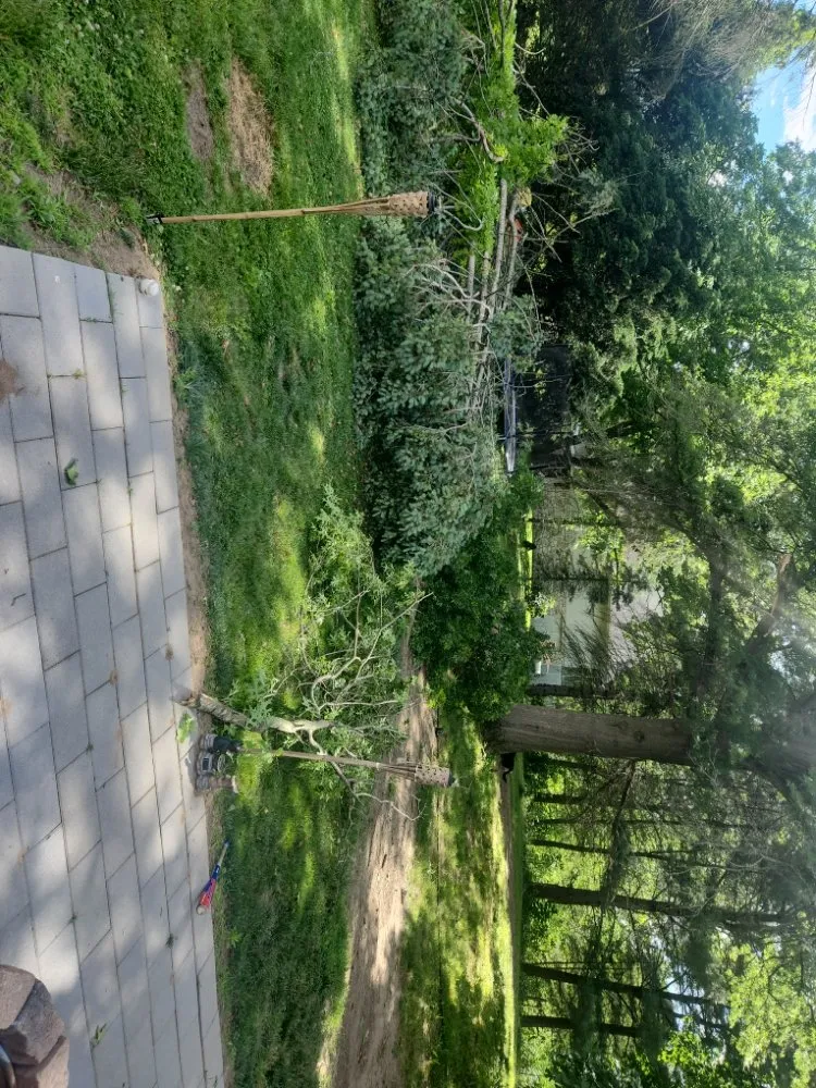 Custom yard cleanup service in Selinsgrove, PA - Country Lawn Care