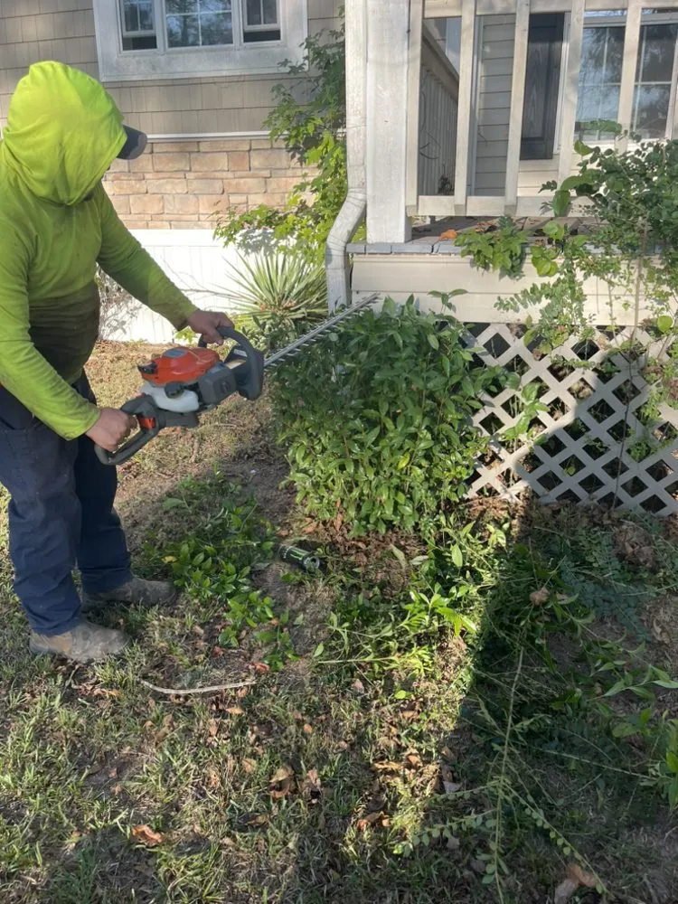 Expert landscape design in Weir, MS by Country Lawn Services