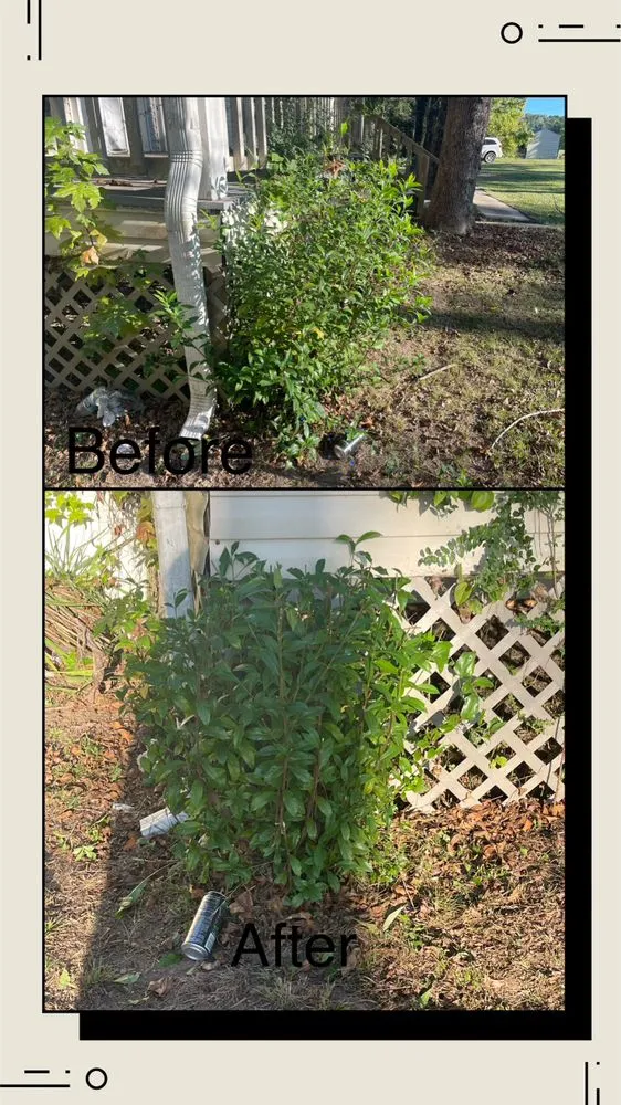 Affordable landscaping services experts serving Weir, MS - Country Lawn Services