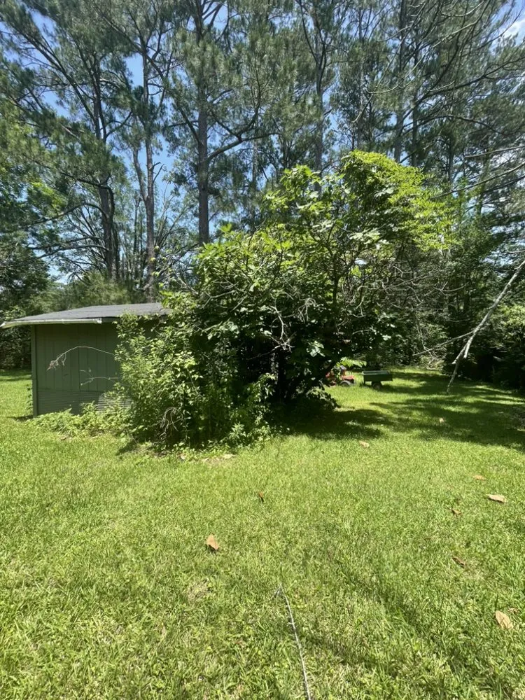 Trusted landscaping services for homes in Weir, MS by Country Lawn Services