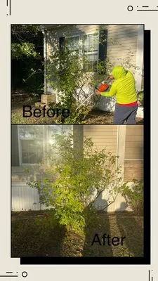 Country Lawn Services