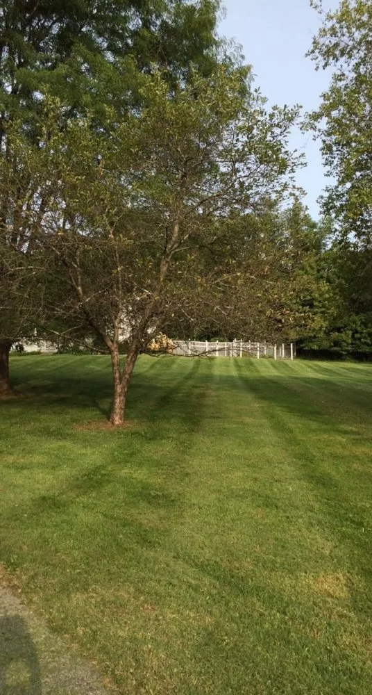 Reliable outdoor landscaping for residential properties in Port Jervis, NY by Country Lawncare & Landscaping