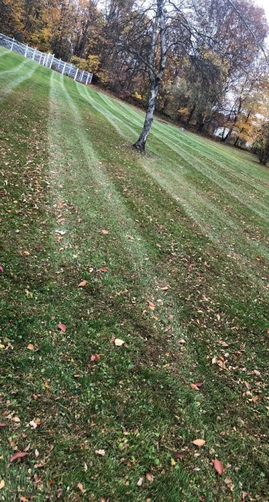 Top-rated residential landscaping in Port Jervis, NY by Country Lawncare & Landscaping