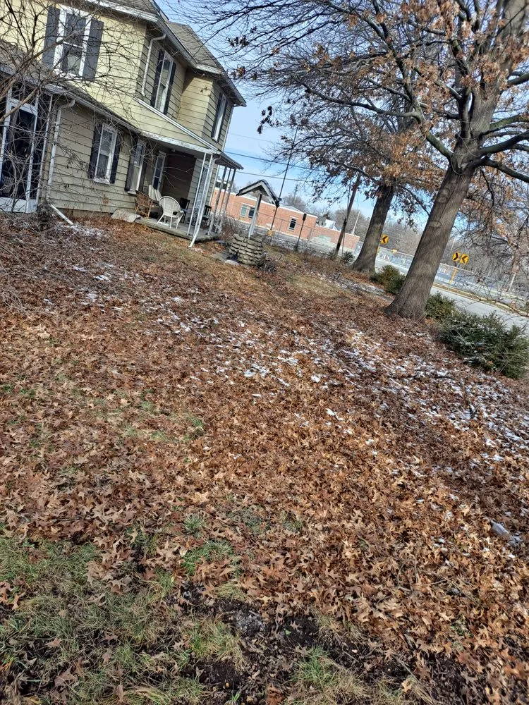 Trusted residential landscaping for year-round maintenance in Gardner, KS by Country Living Lawn and Tree