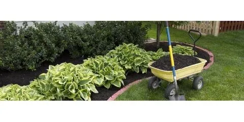 Affordable lawn mowing service in Milford, CT - Country Meadown Lawn & Tree Service