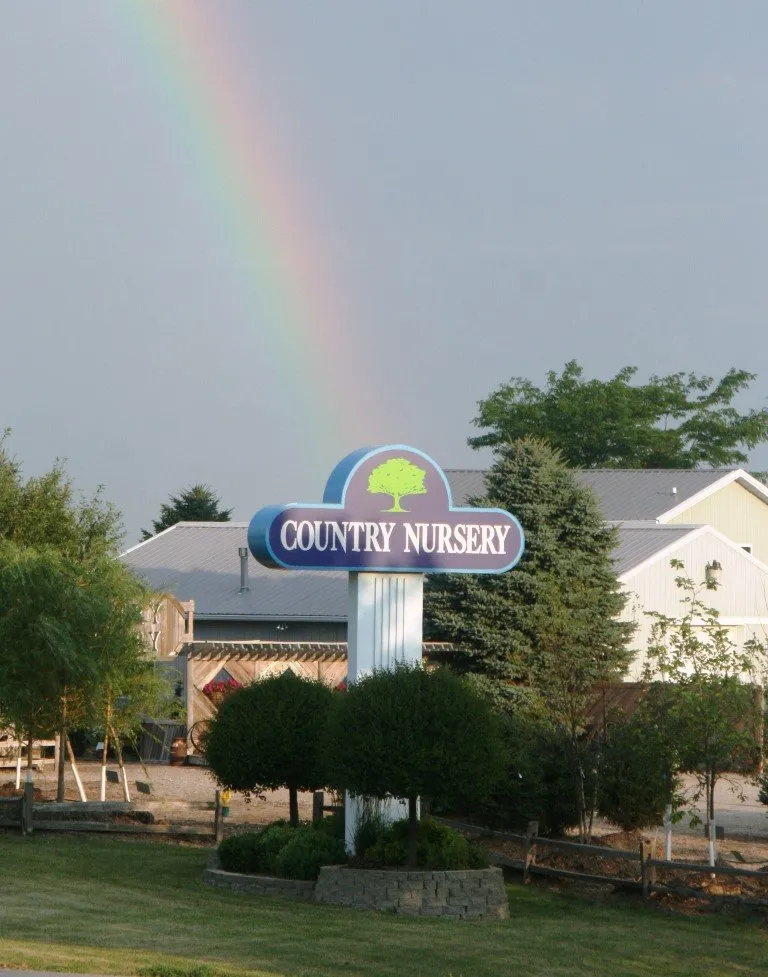 Local landscaping services experts serving Wayne, NE - Country Nursery