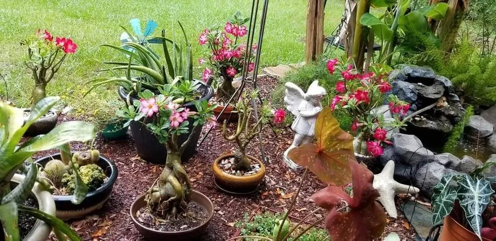 Expert lawn mowing service for homes in Ludowici, GA by Country oasis landscaping and more