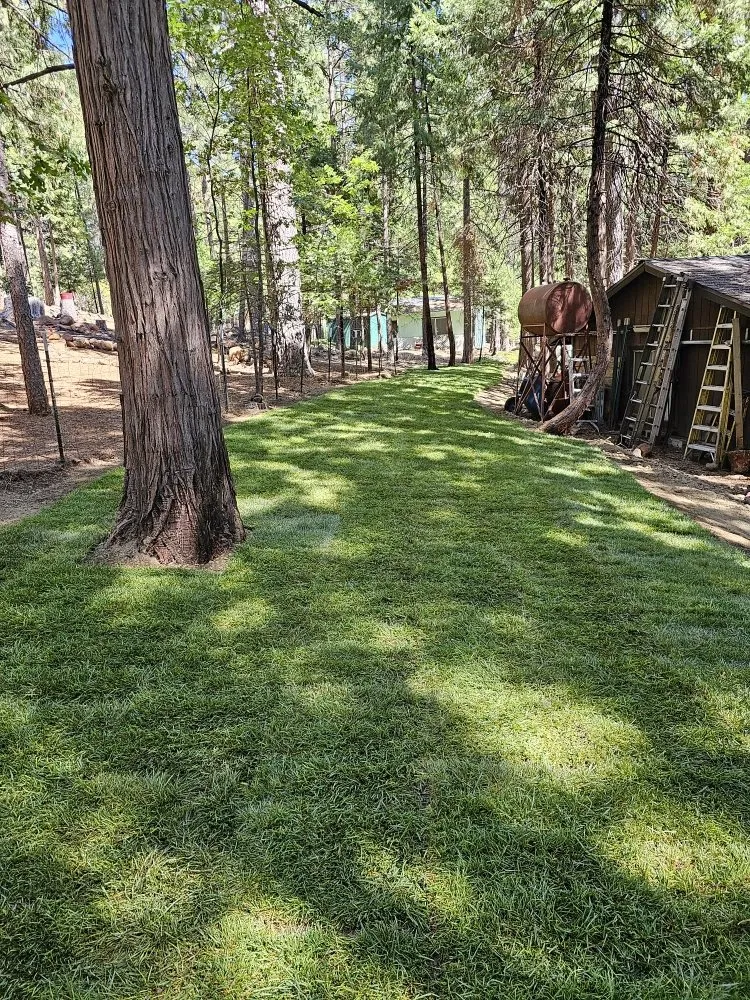 Professional residential landscaping for residential properties across Shingletown, CA - Country Road Hauling & Landscaping