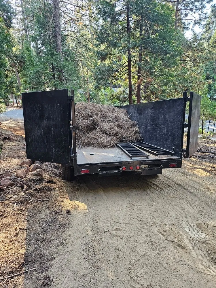 Affordable lawn care service in Shingletown, CA by Country Road Hauling & Landscaping