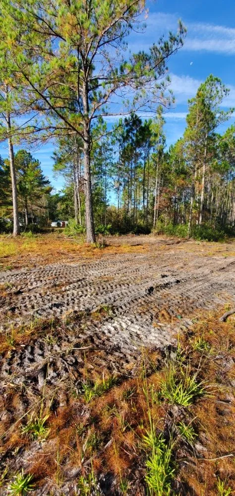 Custom landscape design with custom design across Middleburg, FL - Country Root's Land and Site Development