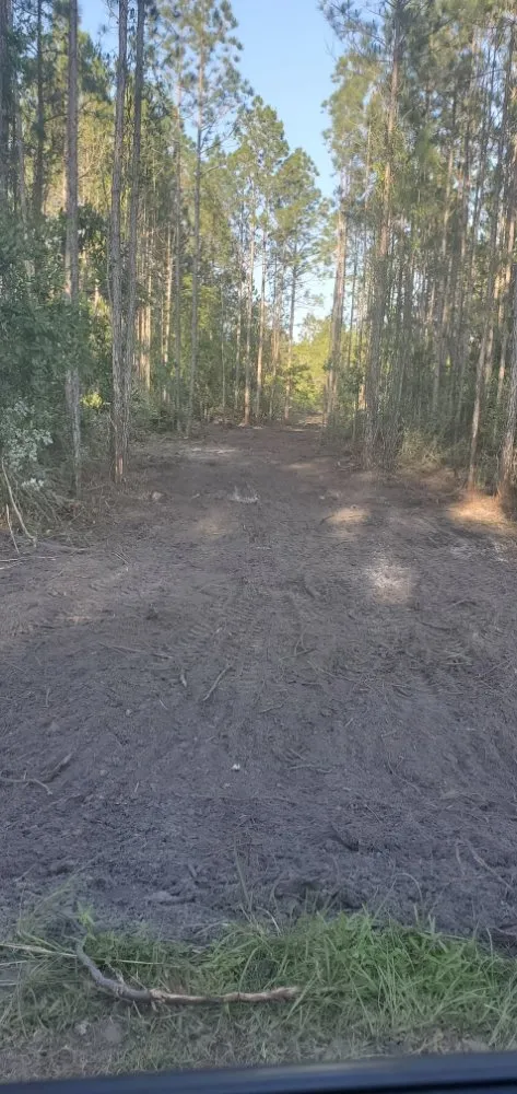 Professional outdoor landscaping in Middleburg, FL by Country Root's Land and Site Development