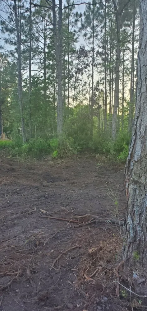 Custom residential landscaping for outdoor upgrades in Middleburg, FL by Country Root's Land and Site Development