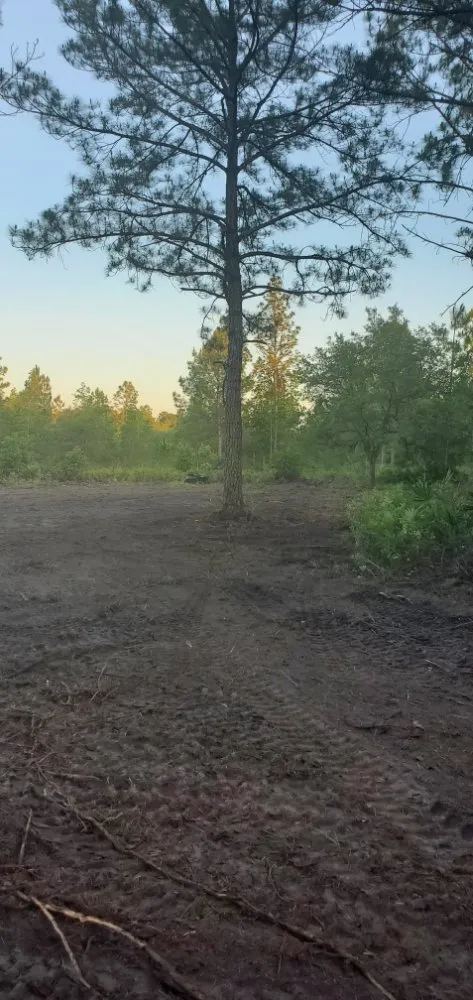 Trusted yard cleanup service for year-round maintenance across Middleburg, FL - Country Root's Land and Site Development