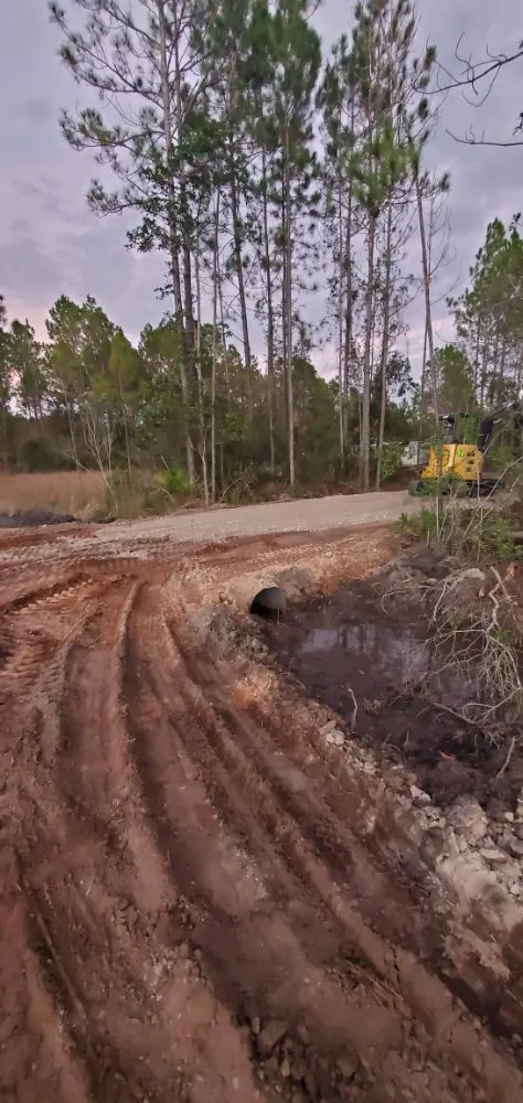 Professional yard cleanup service in Middleburg, FL - Country Root's Land and Site Development