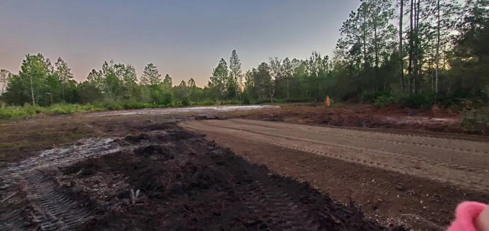 Top-rated landscape design for year-round maintenance across Middleburg, FL - Country Root's Land and Site Development