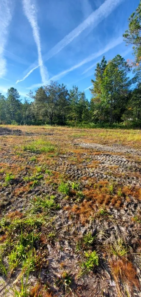 Professional yard maintenance near you across Middleburg, FL - Country Root's Land and Site Development