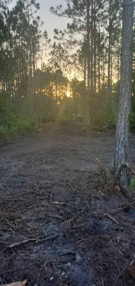 Affordable landscaping services in Middleburg, FL - Country Root's Land and Site Development