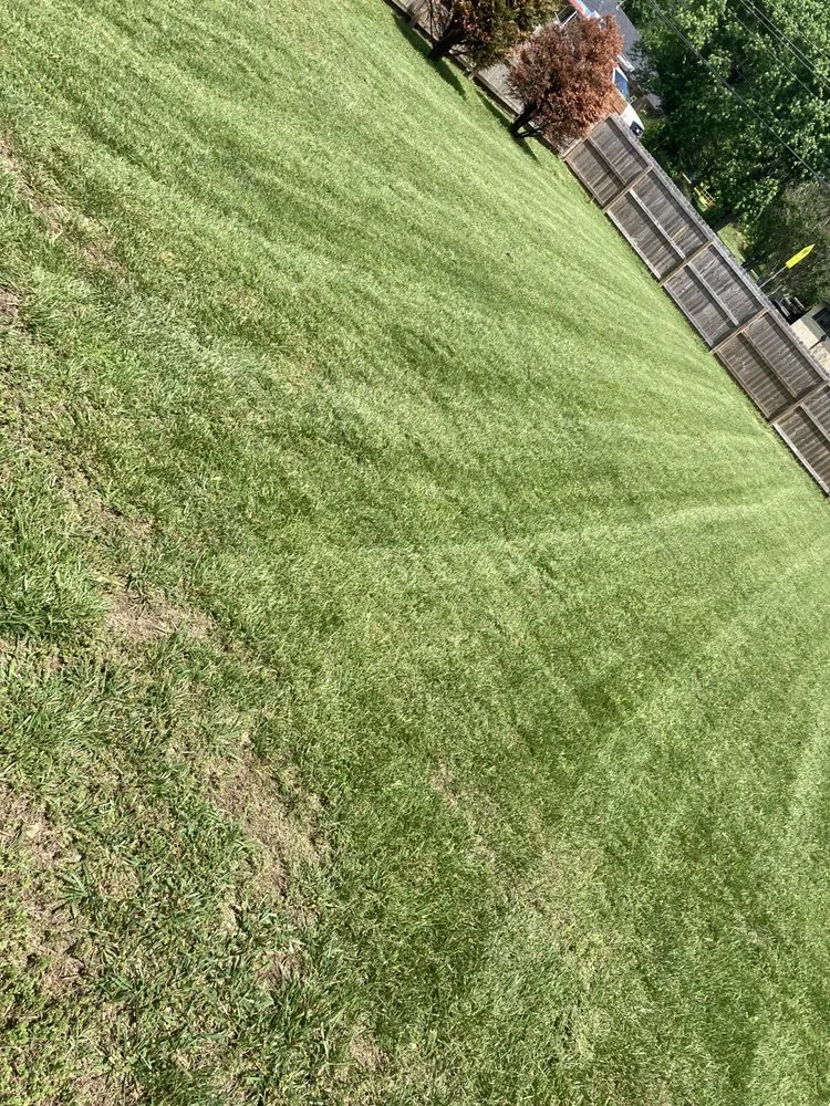 Local lawn mowing service in Summers, AR - Country Seasons Lawn Care